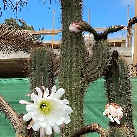 Hija Del Volcan Apartamento